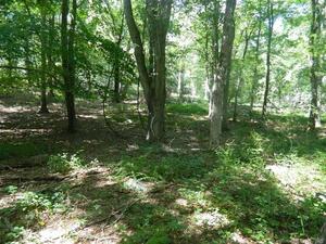 Homes for sale in Old Lyme, CT | 184 Shore Rd, Old Lyme, CT 06371 | MLS# 24064745