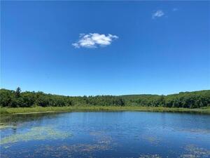 Homes for sale in Norfolk, CT | 00 Greenwoods Rd E, Norfolk, CT 06058 | MLS# 170392753