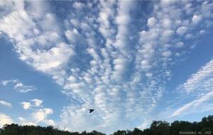 Homes for sale in Norfolk, CT | 00 Greenwoods Rd E, Norfolk, CT 06058 | MLS# 170392753