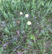 Homes for sale in Norfolk, CT | 00 Greenwoods Rd E, Norfolk, CT 06058 | MLS# 170392753