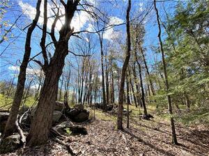 Homes for sale in Norfolk, CT | 00 Greenwoods Rd E, Norfolk, CT 06058 | MLS# 170392753