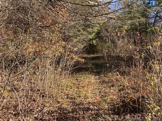 Beautiful 5.8 acre parcel with fantastic Southern view. Ideal site for solar or an energy efficient green home construction. Driveway will be opened up to provide driveable access soon. Great spot in the heart of Litchfield County.