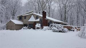 19 Thorp Drive