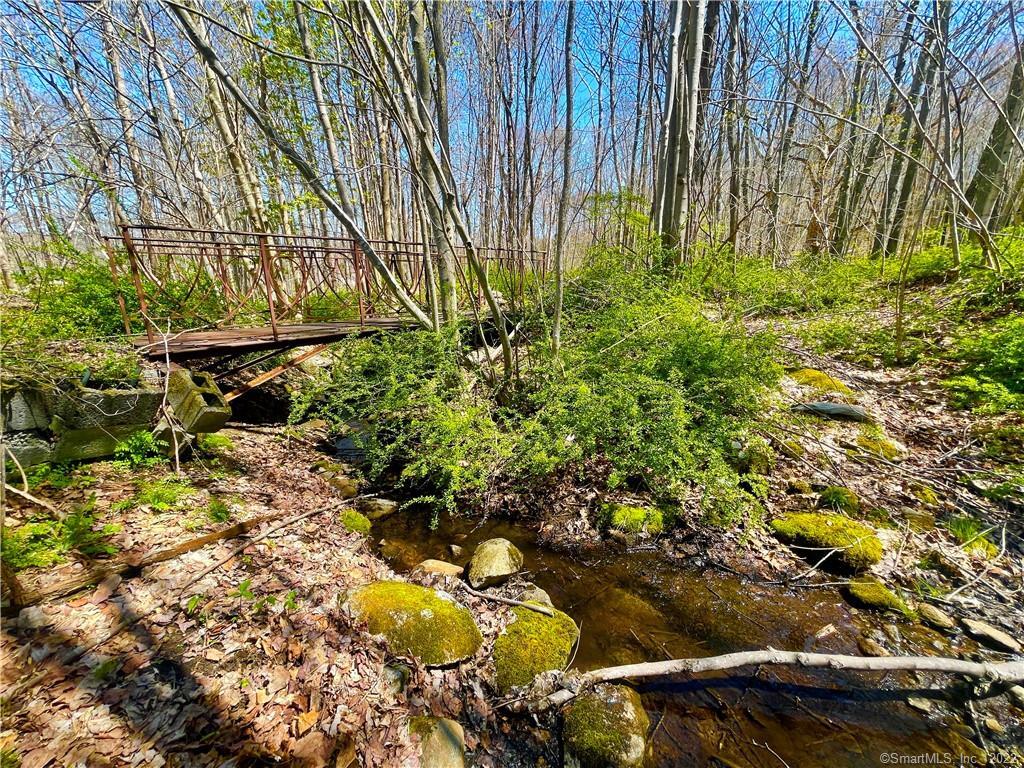 129 North Bear Hill Road, Chaplin, CT 06235 - Thumbnail 31
