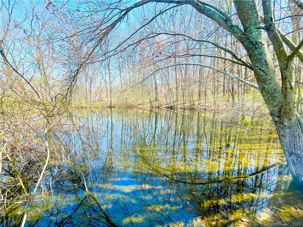 129 North Bear Hill Road, Chaplin, CT 06235 - Thumbnail 33