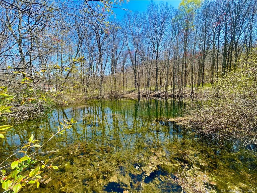 129 North Bear Hill Road, Chaplin, CT 06235 - Thumbnail 34