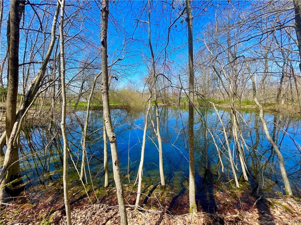 129 North Bear Hill Road, Chaplin, CT 06235 - Thumbnail 36