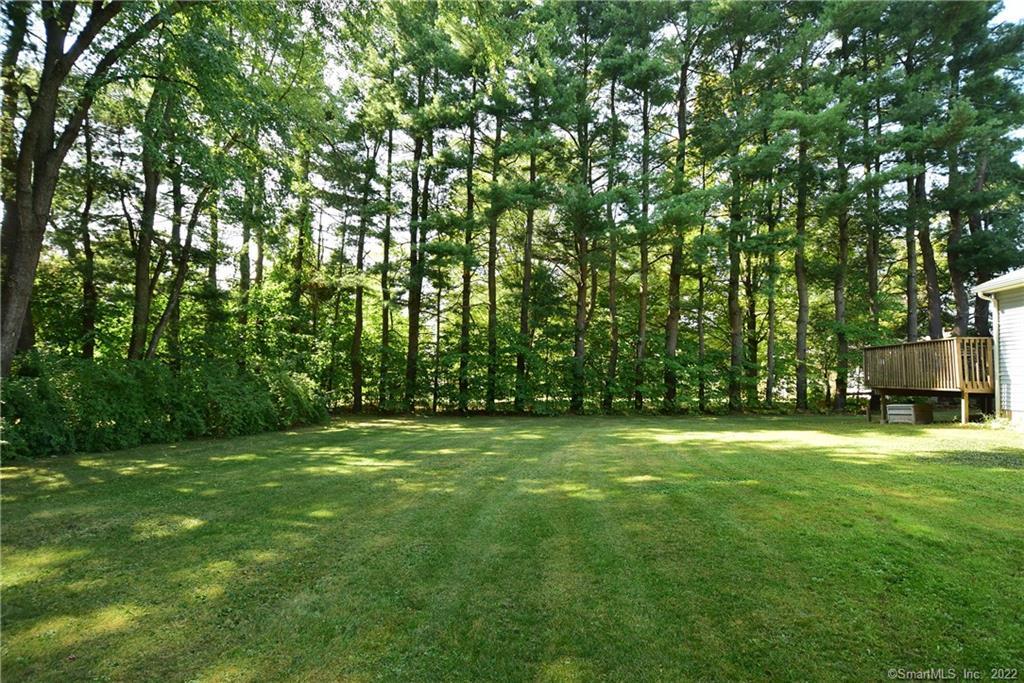 59 Lewis Drive, South Windsor, CT 06074 - Thumbnail 35
