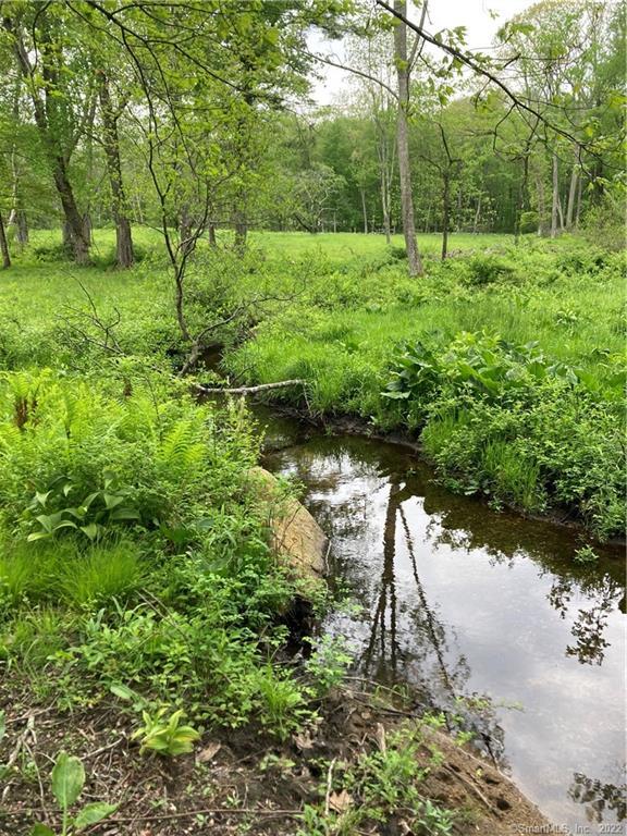 Partially cleared grassy vacant land with stony brook running through (seller has never seen brook dried up). There is a nice, private, high dry portion of land that has been cleared.