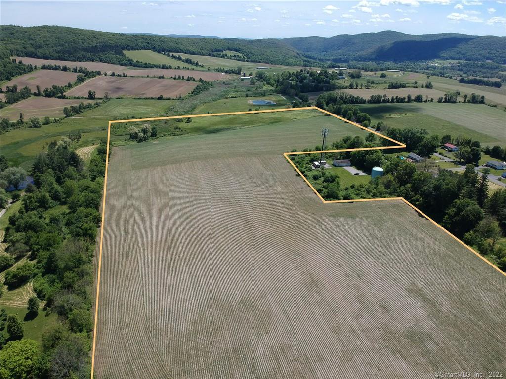 44 ACRES IN BEAUTIFUL AMENIA! Currently cleared and farmed. Breathtaking bucolic views of rolling hills, farms, and meadows surround. Short ride or walk to the village center and Harlem Valley Rail Trail. Outdoor activities abound the region with fishing, boating, hiking, biking. Nearby Troutbeck retreat and the esteemed Silo Ridge Field Club. Preliminary subdivision approval, completed Environmental Impact Statement.