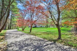 459 Stanwich Road