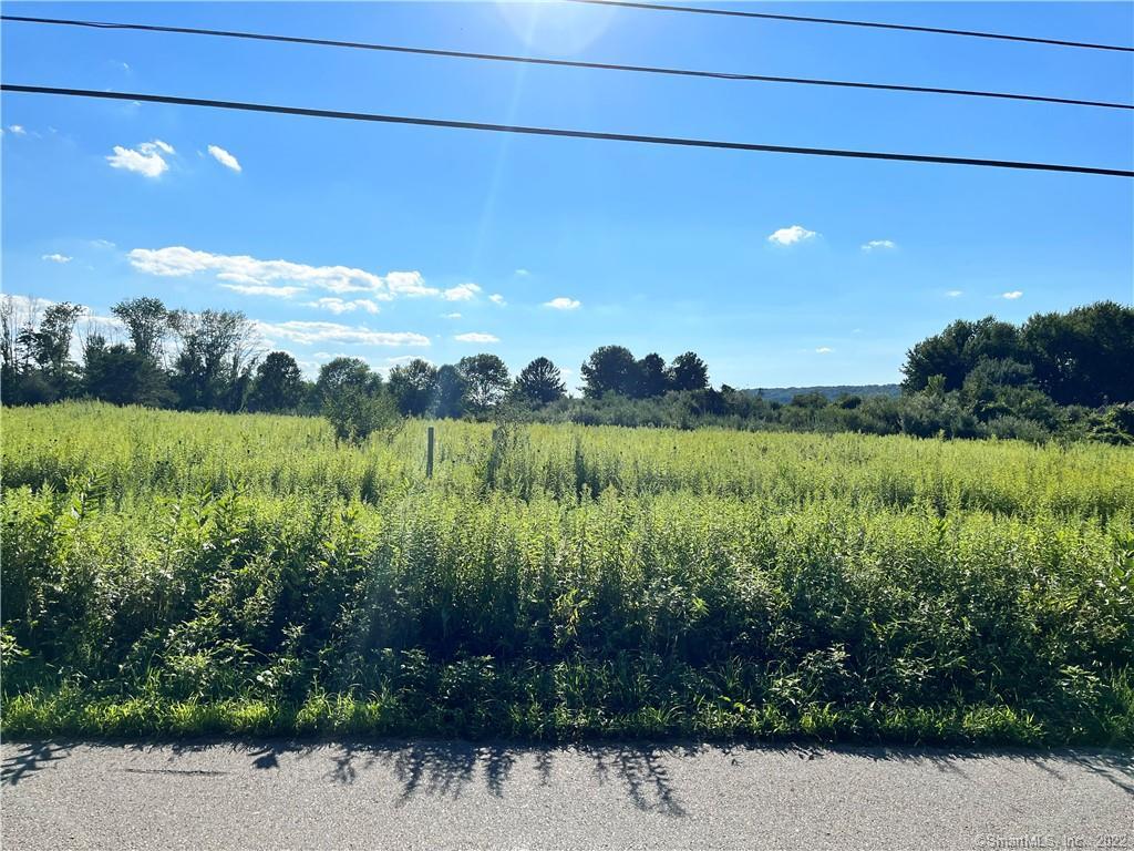 Come and check out this beautiful 3.1 acres lot right next to a golf course in a rural quiet piece of Sprague.