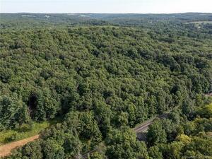 Homes for sale in Woodbury, CT | 00 1055 Main St N, Woodbury, CT 06798 | MLS# 170517471