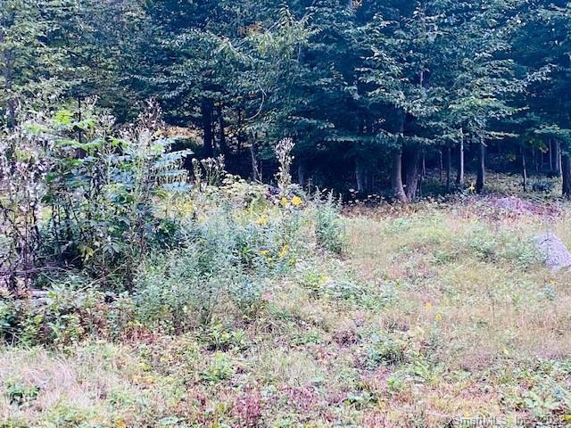 PRIVATE 2.39 ACRE LOT ON A QUIET ROAD LOCATED NEAR THE SCENIC EAGLEVILLE PRESERVATION TRAIL AND THE WILLLIMATIC RIVER WATER TRAIL. THIS LOT IS APPROVED AND READY FOR YOU TO BUILD YOUR DREAM HOME. PARTICALLY CLEARED LOT READY FOR THE PLACEMENT OF YOUR NEW HOME. SEE ATTACHED INFORMATION SURVEY FOR MORE INFORMATION. CALL TO SCHEDULE YOUR SHOWING TODAY!