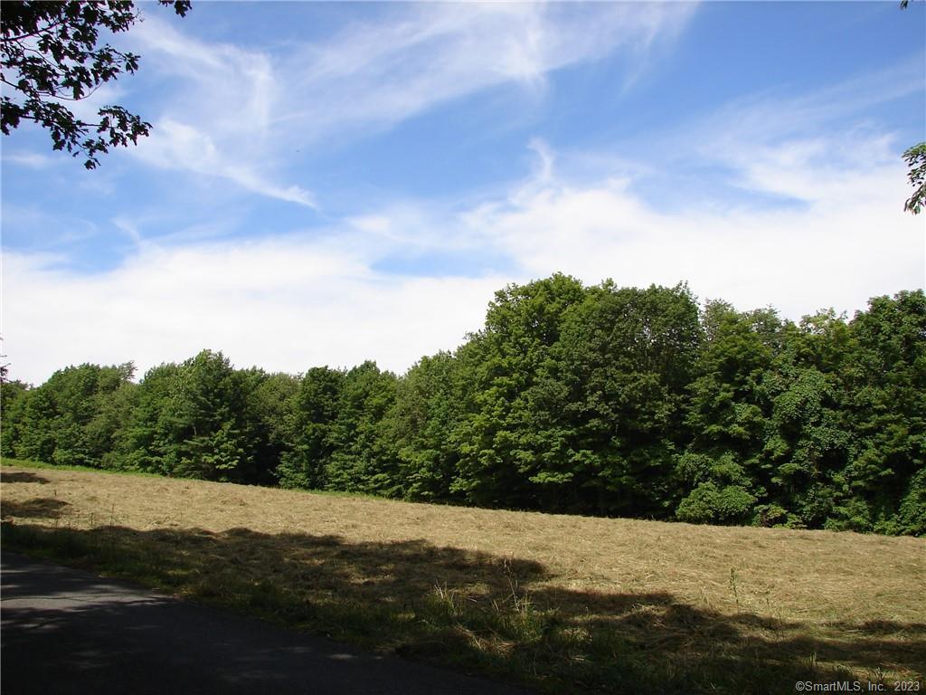 Lot 5 Milton, Goshen, 06756, ,Lots And Land For Sale,For Sale,Milton,24060767