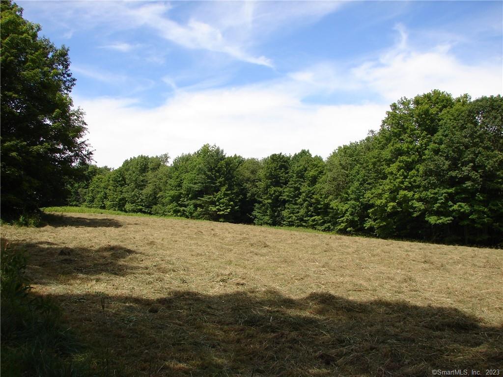 Lot 5 Milton, Goshen, 06756, ,Lots And Land For Sale,For Sale,Milton,24060767