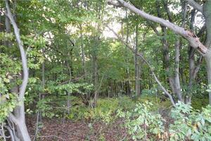 Homes for sale in Prospect, CT | 20 New Haven Rd, Prospect, CT 06712 | MLS# 170527849