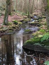 Homes for sale in Plymouth, CT | 65 Meyers Rd, Plymouth, CT 06786 | MLS# 24048543