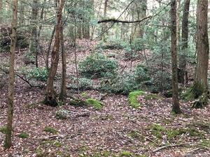 Homes for sale in Plymouth, CT | 65 Meyers Rd, Plymouth, CT 06786 | MLS# 24048543