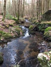 Homes for sale in Plymouth, CT | 65 Meyers Rd, Plymouth, CT 06786 | MLS# 24048543