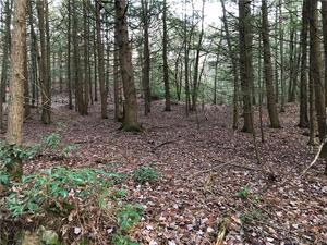 Homes for sale in Plymouth, CT | 65 Meyers Rd, Plymouth, CT 06786 | MLS# 24048543