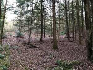 Homes for sale in Plymouth, CT | 65 Meyers Rd, Plymouth, CT 06786 | MLS# 24048543