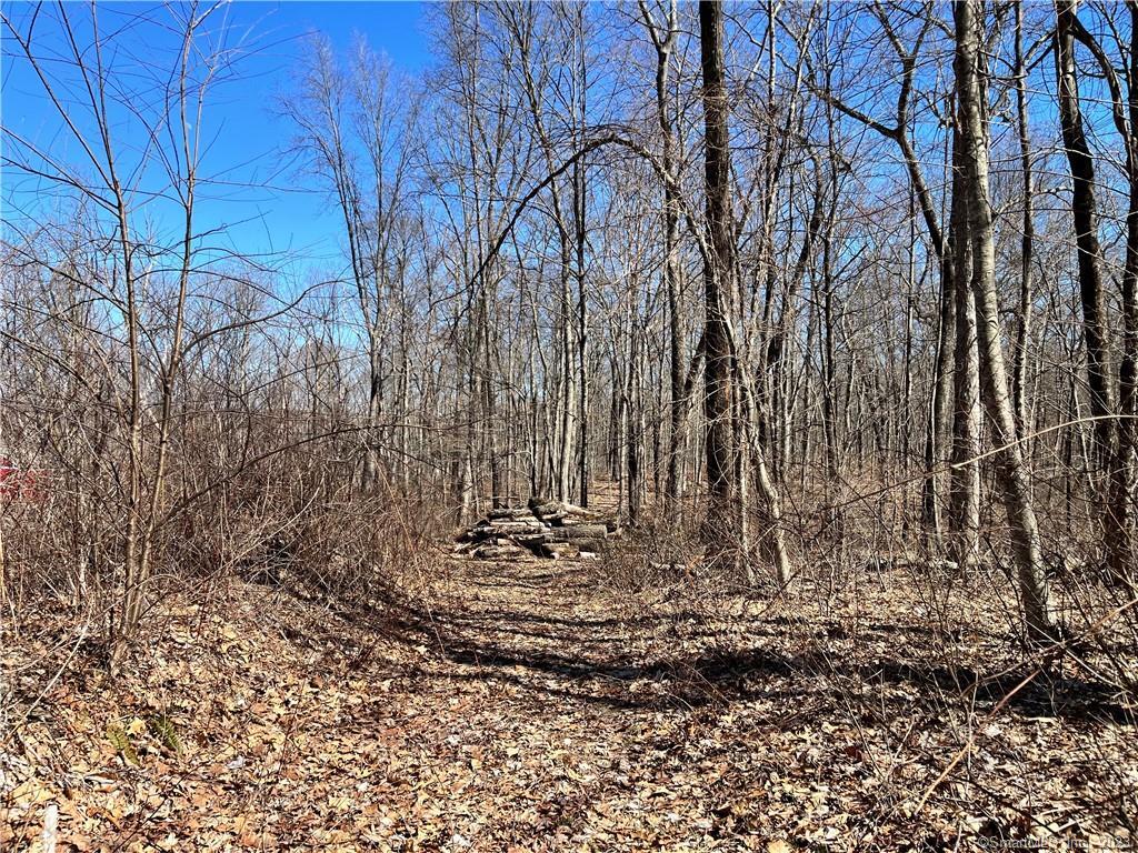 Parker Drakeley Real Estate