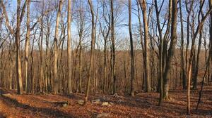 Homes for sale in Redding, CT | 67 Umpawaug Rd, Redding, CT 06896 | MLS# 170559989