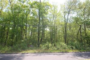 Homes for sale in Prospect, CT | 43 Straitsville Rd, Prospect, CT 06712 | MLS# 170561897