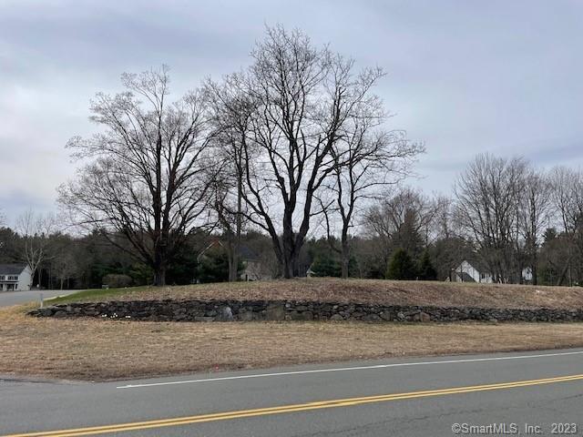 A lovely corner lot with a large stone wall on entrance of a quiet Somers neighborhood. Exclusive builder only. Choose from one of our Classic Collection plans or we can design your home to fit pour specific needs. Some of our standard amenities include central air, hardwood flooring, custom cabinets and countertops, Kohler plumbing fixtures... just to name a few.