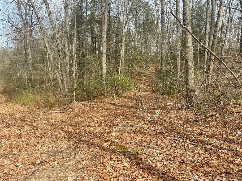 Old Mill Drakeley Real Estate