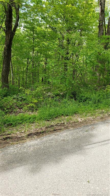 Start planning your dream home on this private, serene Litchfield County property, offering 5.39 acres of beautiful wooded, sloping raw land in Woodbury.Also available is Lot # 176 Listing # 170488464