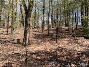 Homes for sale in Norfolk, CT | 0 Old Colony Rd, Norfolk, CT 06058 | MLS# 170567242