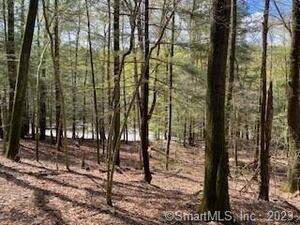 Homes for sale in Norfolk, CT | 0 Old Colony Rd, Norfolk, CT 06058 | MLS# 170567242