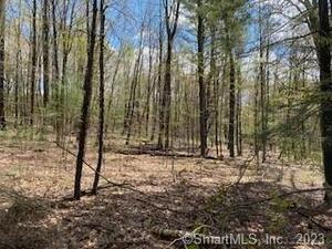 Homes for sale in Norfolk, CT | 0 Old Colony Rd, Norfolk, CT 06058 | MLS# 170567242