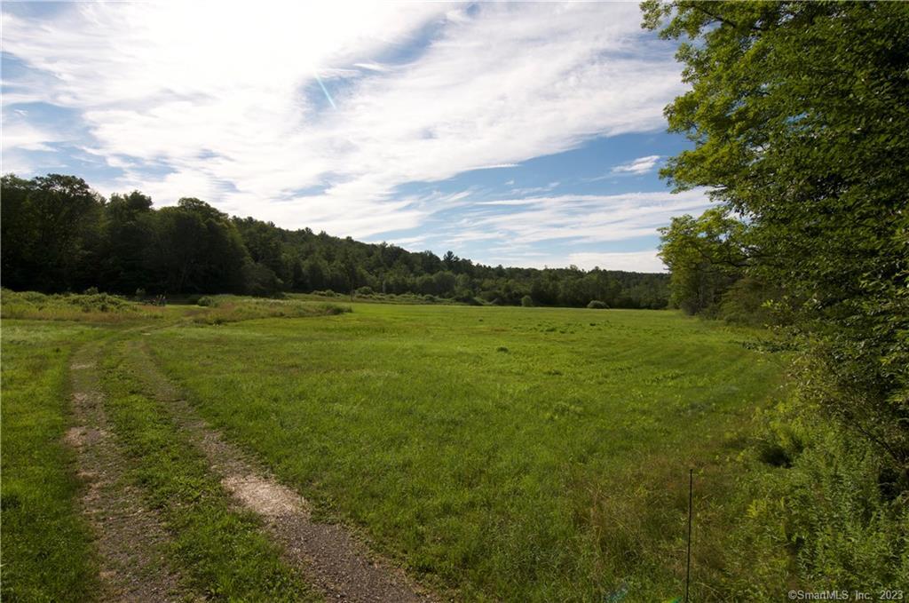 20 acre parcel of land located at the Tip of a dead-end road with approximately 80 feet of road frontage.  Follow the Gravel driveway through a cluster of mature trees then opens to a large open field. The East Branch of the Shepaug river runs through the property. This property is offering you a private location with State land bordering the south end of the property. Conveniently located just min to surrounding towns for shopping, dining and entertainment. Plus Mohawk State Park and ski area. There is an additional 62 acres of land available.