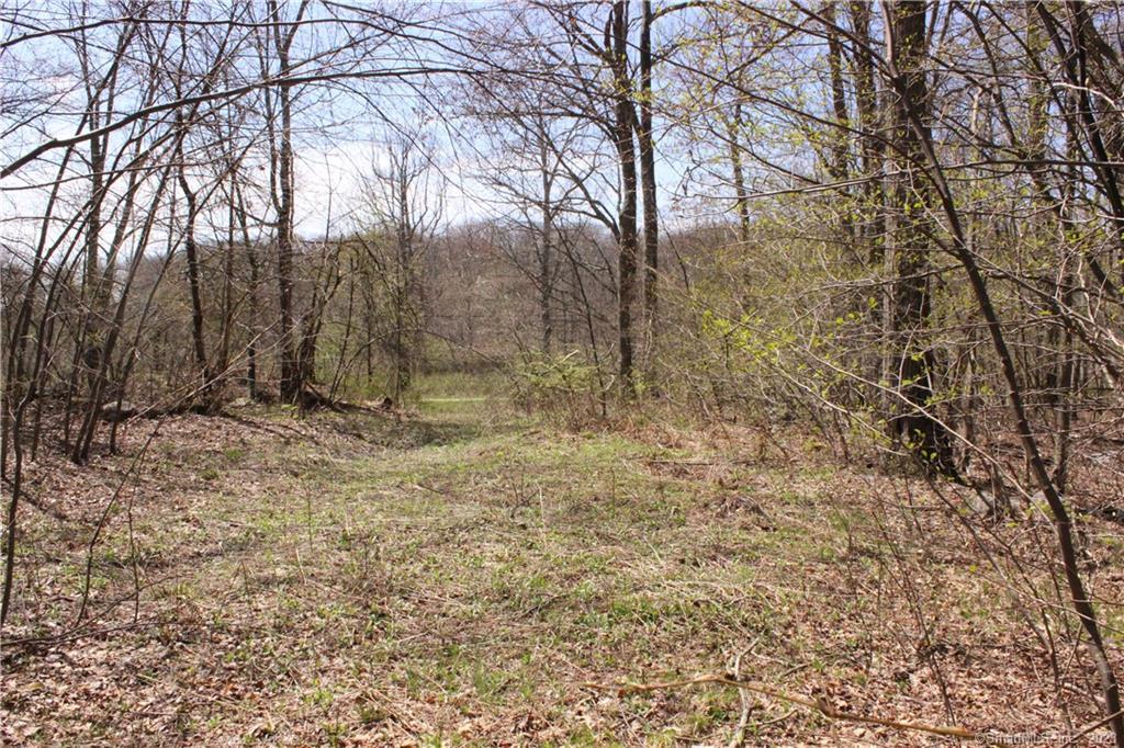 A quiet country road takes you to 14 acres. Location on Joray Road and Joray Road South, Sharon, Ct. Lightly wooded land. Pond.