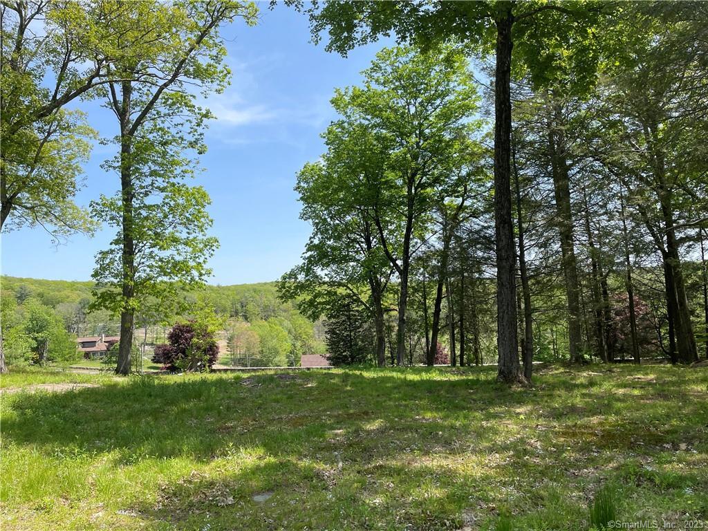 9.684 acre lot in one of this region's finest areas. Very reasonably priced at $129, 900 with the option of owner financing. Come see this exceptional parcel in a scenic, protected area of fine homes.