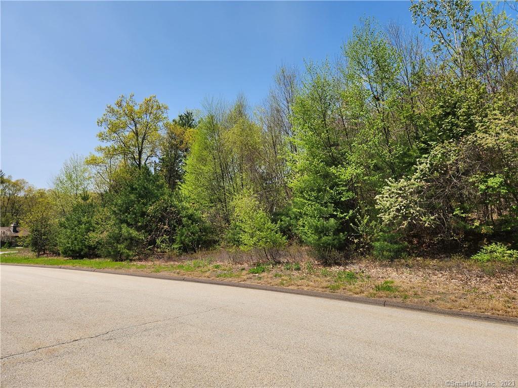 If you're looking for privacy but you still want to be in an established Neiborhood of 8 Homes, this flag lot is for you, this 2.65 acre lot is for you.