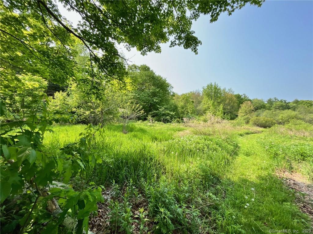 This beautiful 4 acres of vacant land is open with a gentle rolling hill. It is located between 283-315 Clearview Ave. Are you looking to living in Harwinton, don't miss this amazing opportunity to build your dream home. Enjoy all New England's seasons with this property. All due diligence must be performed by the buyer. The buyer needs to confirm it's a buildable lot, Harwinton town requirements are attached to the listing. The owner does NOT have any perk testing. This lot has the potential to subdivide but must be confirmed by the buyer with the town. To view the property please enter through the opening in the stone wall on the far right of the land close to the street. There is a hand dug well with steel cover close to the front right corner of the property.