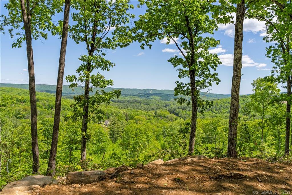 Welcome to your own nature lover's paradise in the Berkshire foothills! This exceptional 140-acre property offers breathtaking views of Ski Sundown and the potential for multiple home sites with views. A rare opportunity to build your dream retreat or even create a family compound. Abutting the American Legion State Forest and the Farmington River, the existing trails offer endless opportunities to explore, two meandering streams cross through the property adding a soothing soundtrack. Situated on a quiet cul-de-sac, you'll experience a sense of privacy and seclusion that complements the natural surroundings but convenience is not compromised, shopping and highway access are just a stone's throw away. The proximity to Lake McDonough provides endless opportunities for water sports from boating and fishing to swimming and kayaking. Ski Sundown is also close by where winter enthusiasts can indulge in downhill skiing and snowboarding. Don't miss your chance to own a slice of paradise!