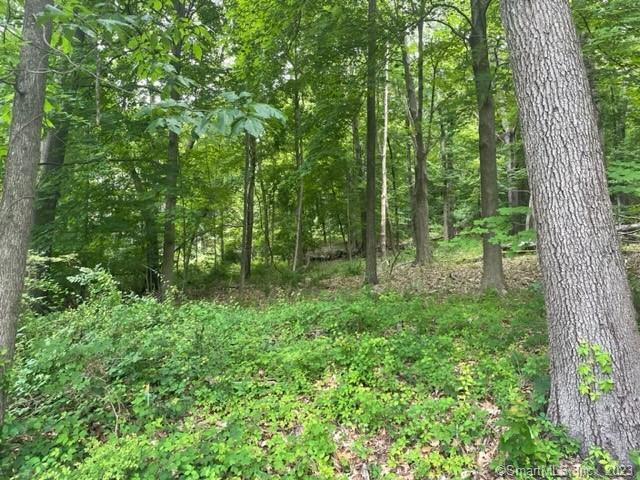 Rare find! Beautiful building lot surrounded by nature to create the home of your dreams. A rare find with 4.5 of non subdividable land on Ridge Road. Public water and septic required. 300 feet road frontage.